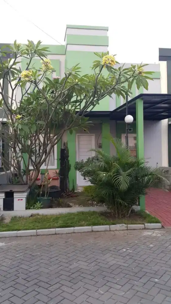 Dikontrakan Rumah Cluster Lokasi Strategis