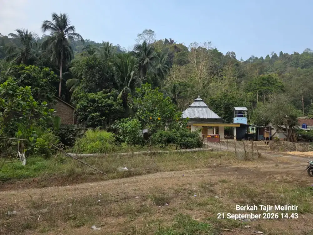 Tanah Luas Lampung