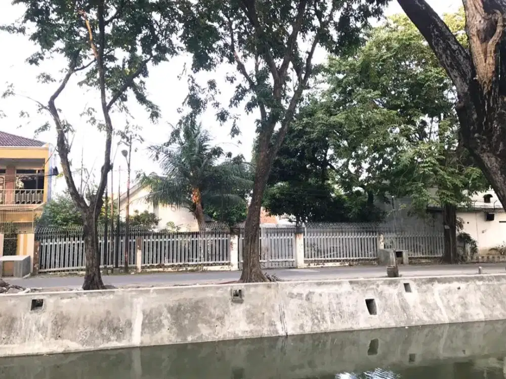 NGAGEL TAMA