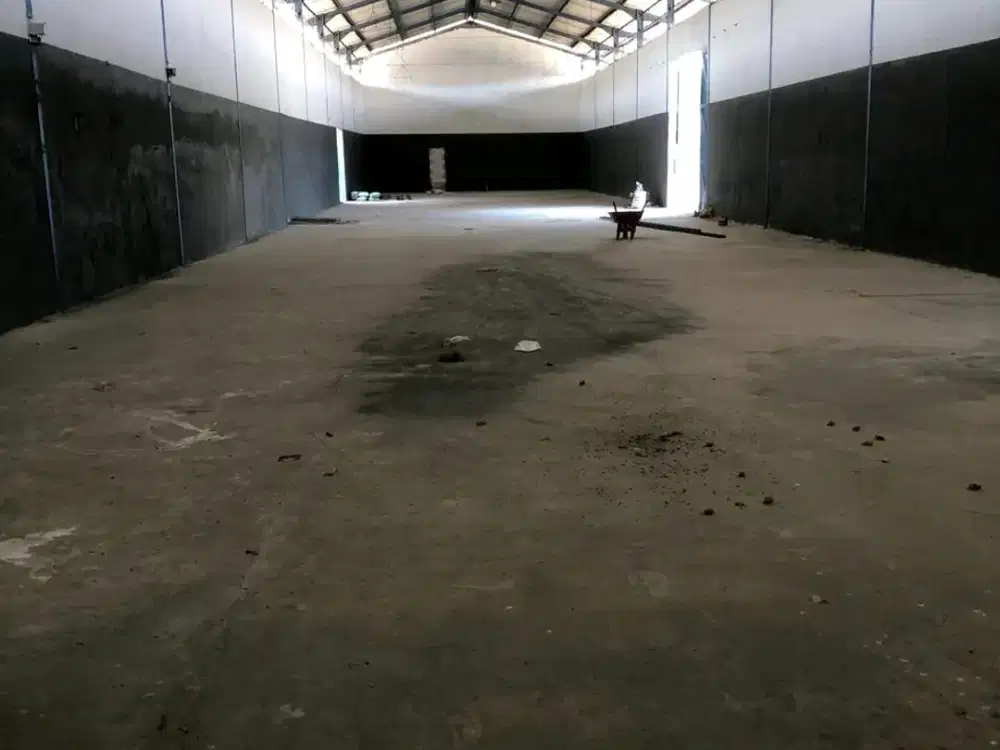 Gedangan