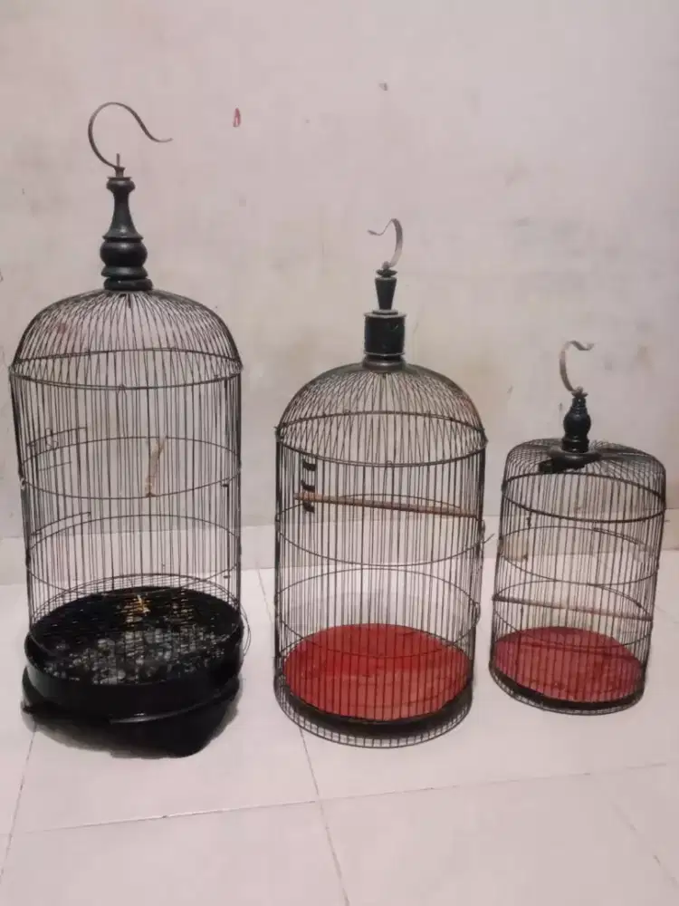 Kandang Burung Lovebird