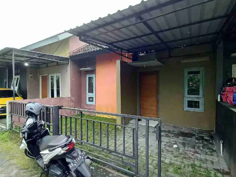 Kontrakan rumah minimalis di maguwoharjo boleh bawa peliharaan