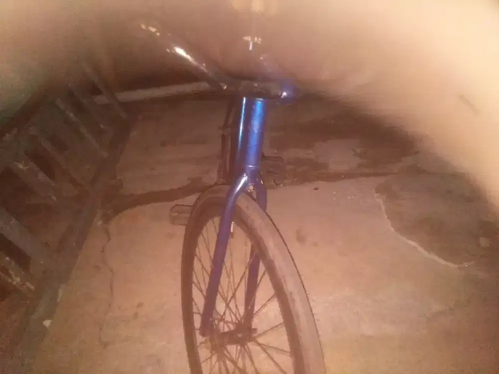 Di jual cepat sepeda fixie rem torpedo