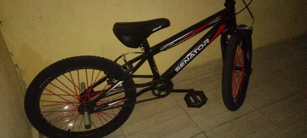 Jual sepeda anak