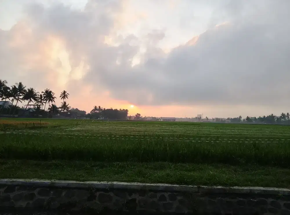 Cari kerjaan halal