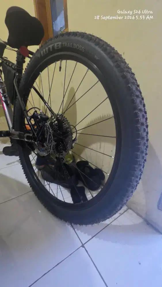 BAN POLYGON XTRADA 6 WTB TRAIL BOSS 29X2.25