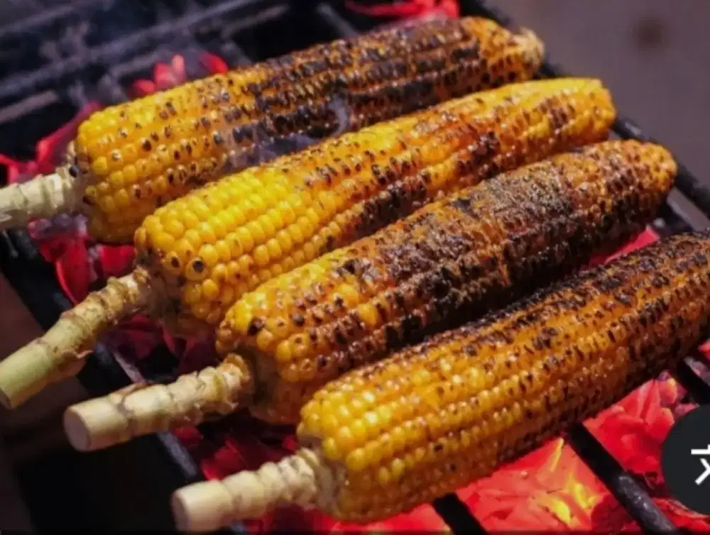 Loker jual jagung bakar