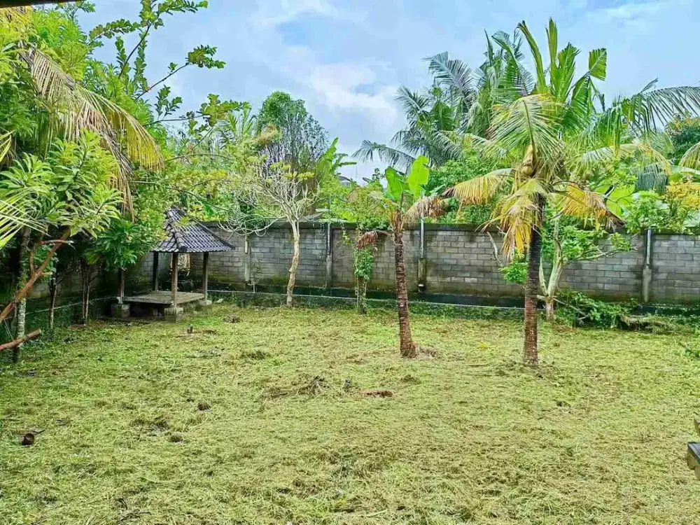 JUAL TANAH B0NUS BANGUNAN DIABIANBASE MENGWI BADUNG