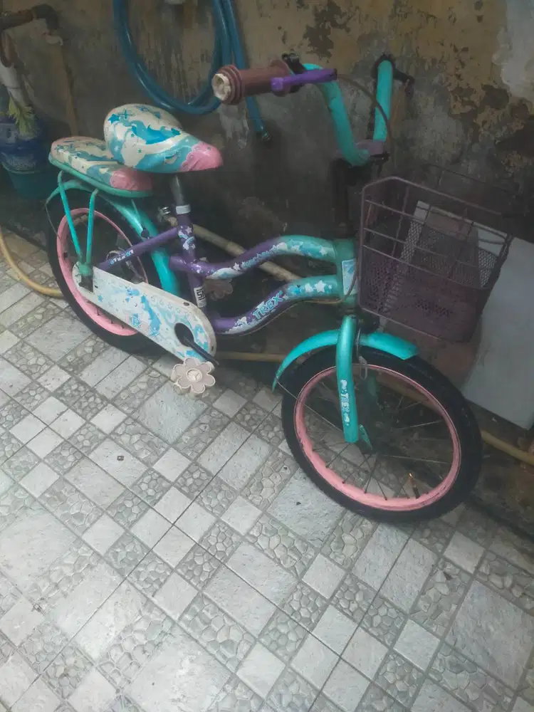 Sepeda anak perempuan