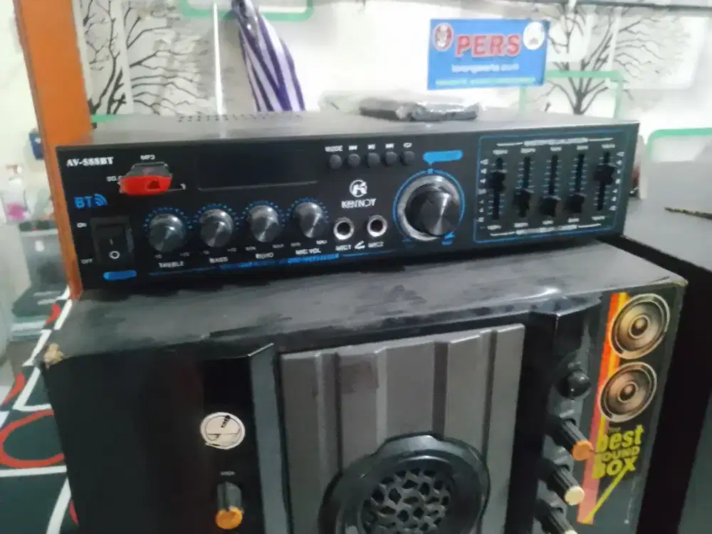 Sound MP3 flesdish