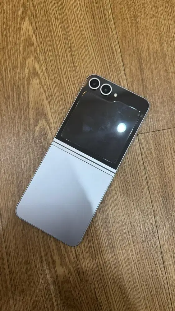 Flip 6 12gb 256gb
