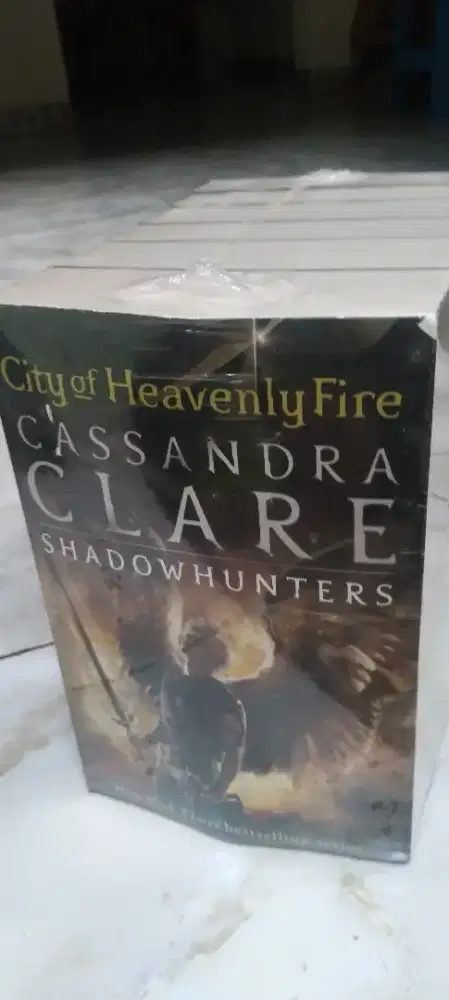 Novel clare Cassandra