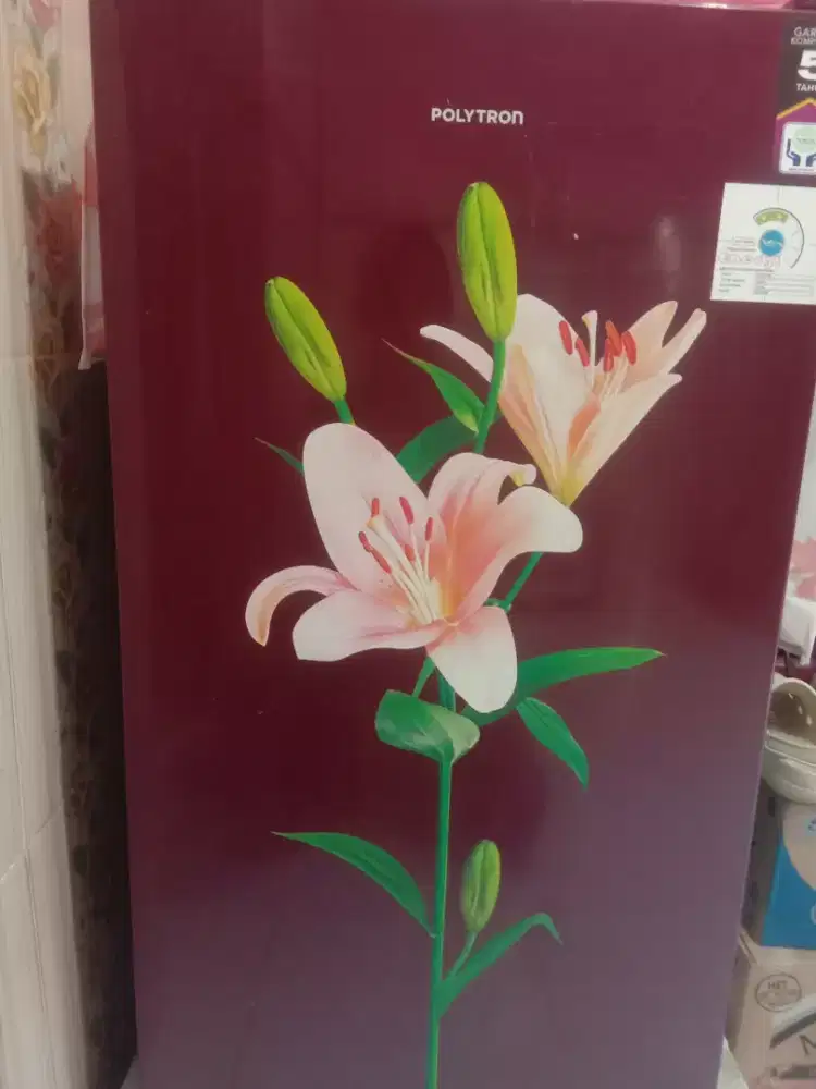 Kulkas politron 1 pintu
