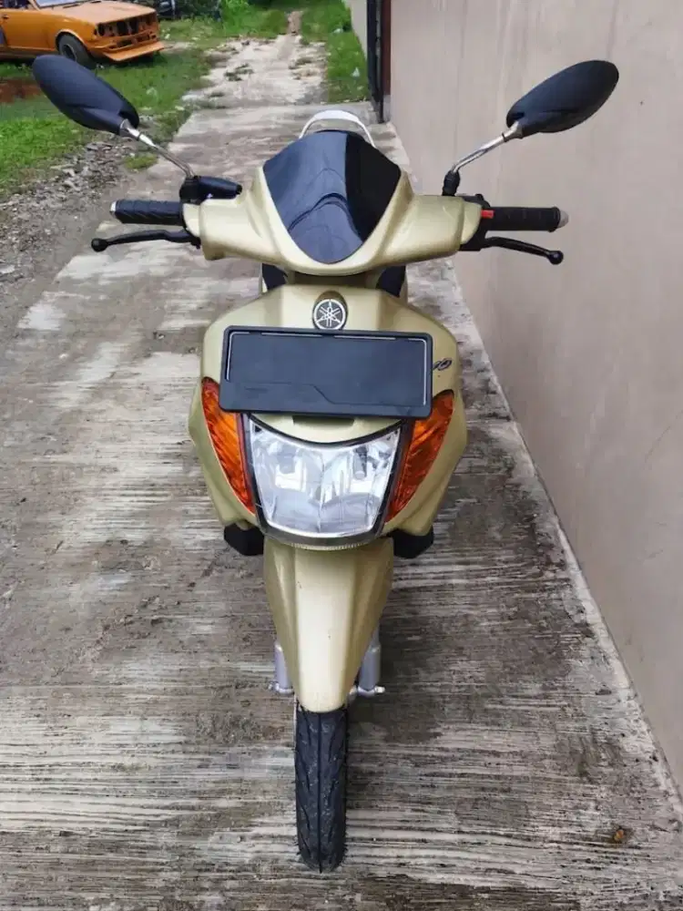 Nouvo LELE Asli Gold