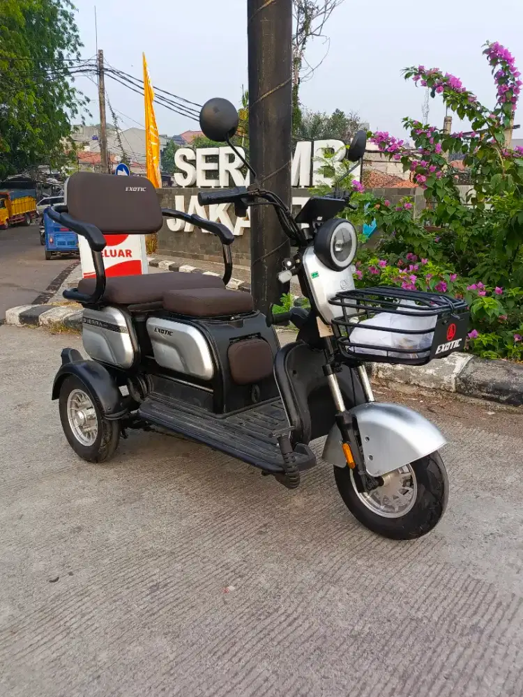 Exotic Siera RODA 3