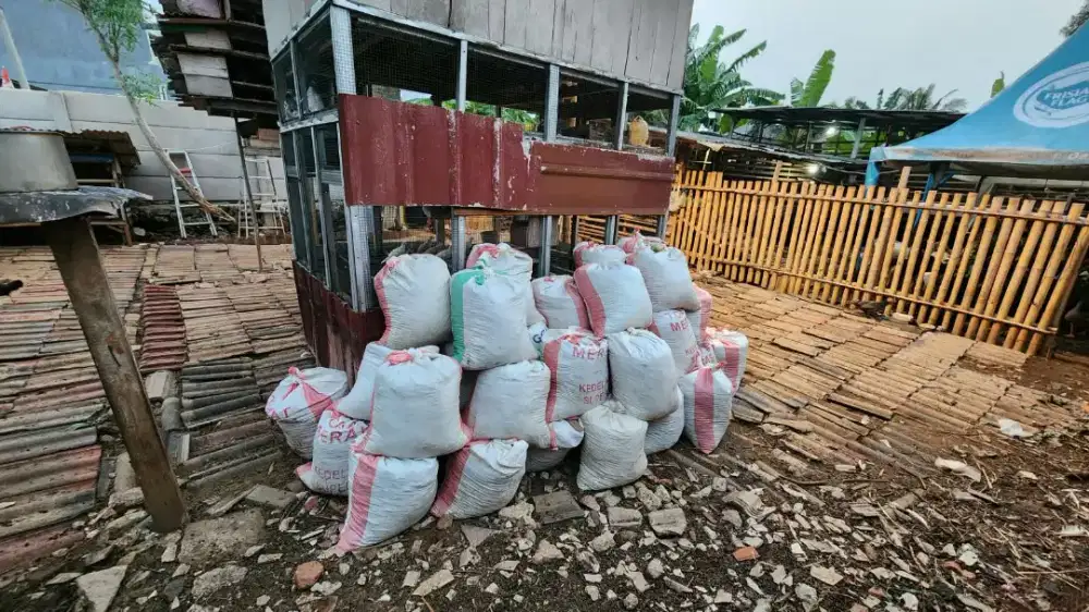 Kohe kambing dan Domba pupuk