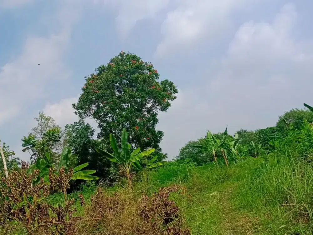 Dijual Lahan Siap Bangun Jalan Soak Simpur Sukabangun Sukarami Palembang
