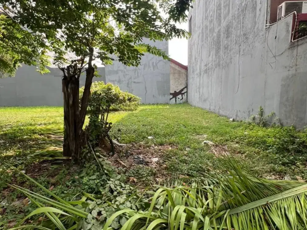 Kavling Boulevard Citra Garden 2 Dijual Harga Sangat Termurah Dibawah NJOP Dibawah Harga Pasaran Siap Bangun Kalideres Jakarta Barat