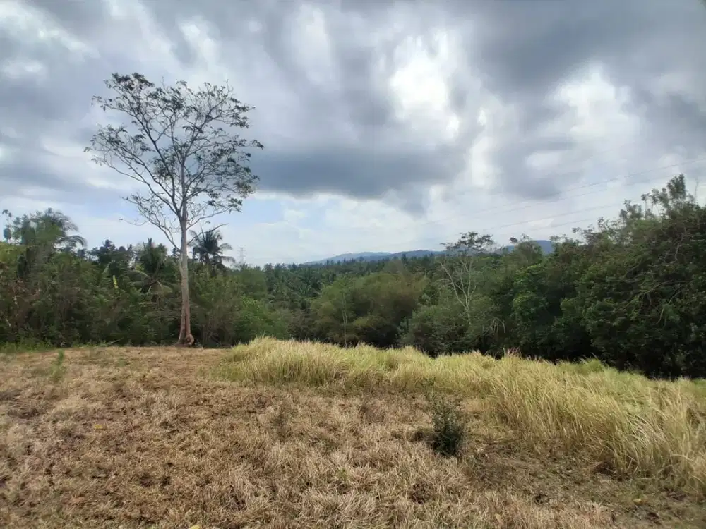 Dijual Tanah Perkebunan View Laut Lingkungan yang Tenang dan Asri