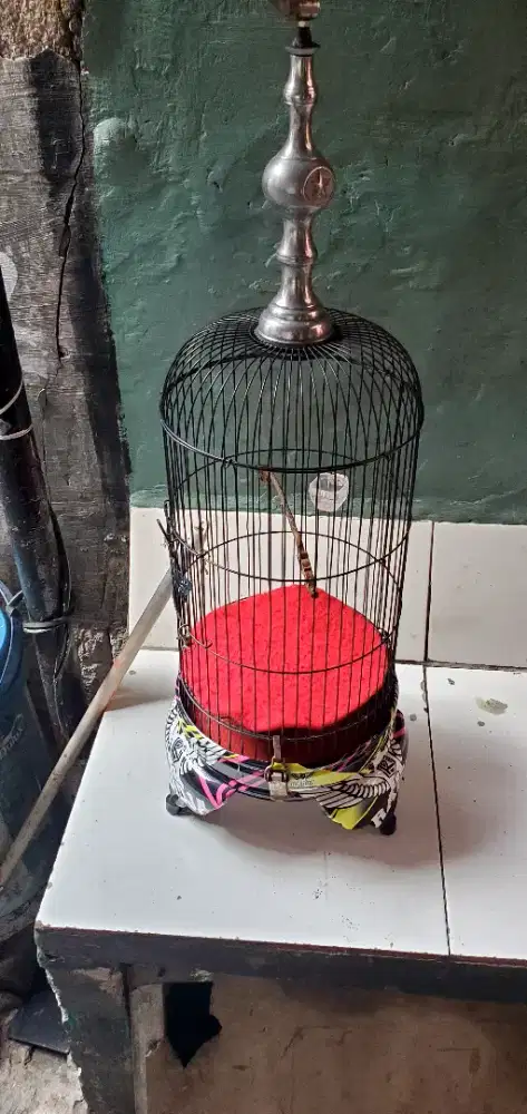 Sangkar burung kecil