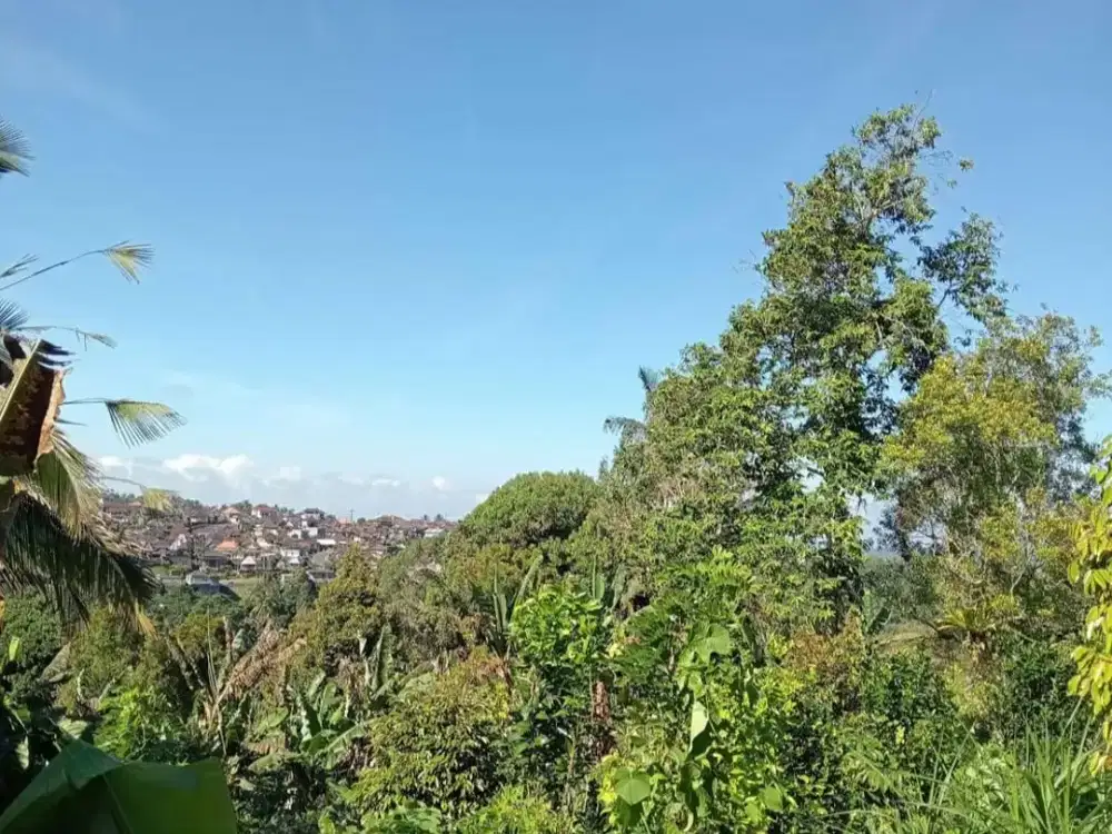 Dijual Tanah Perkebunan Produktif dengan View Hamparan Sawah