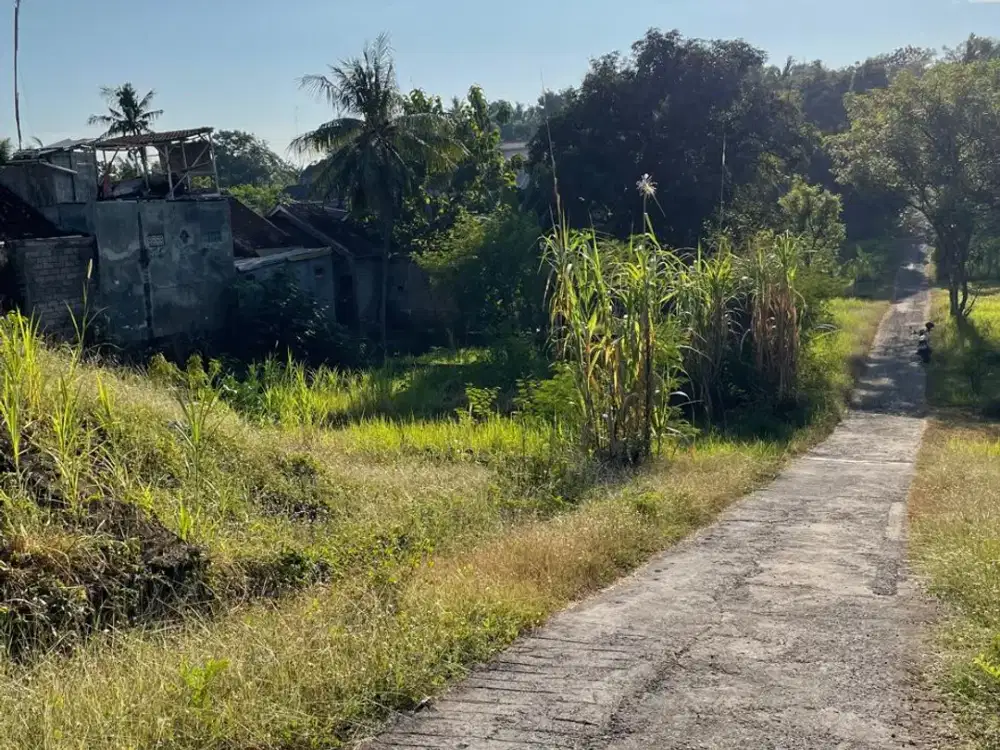 Tanah Kavling 4,1 Are Dekat Pantai Lovina, Singaraja