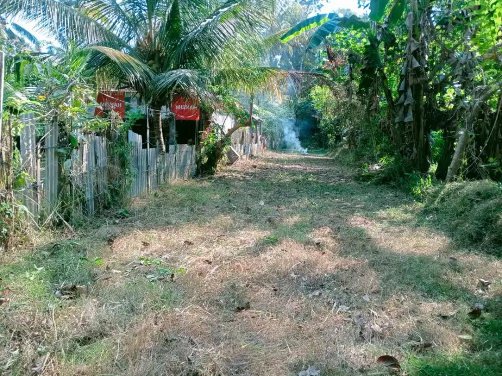 Dijual Tanah Premium dengan View Pantai Medewi yang Indah