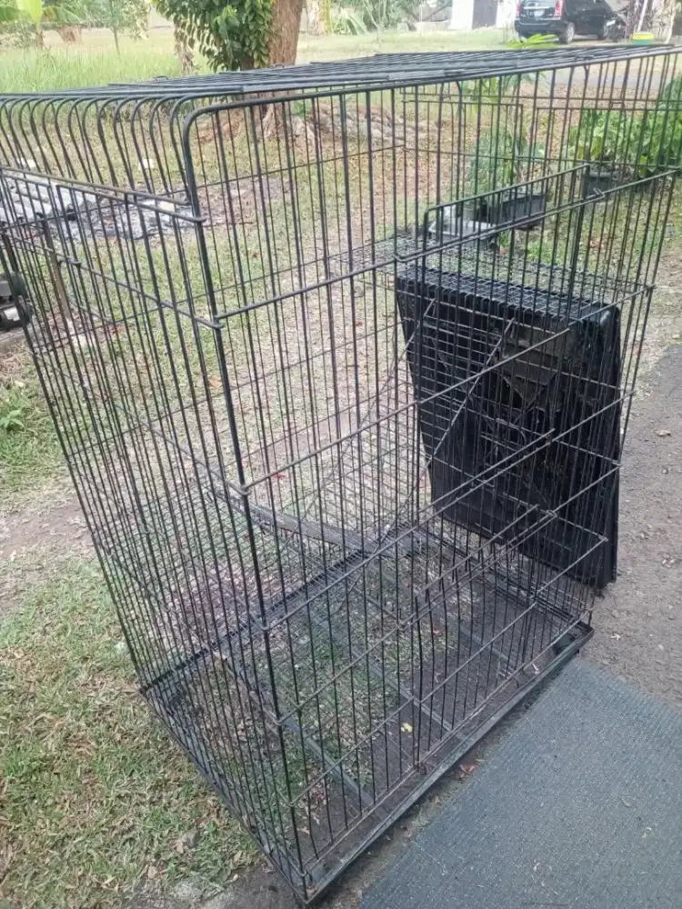 Kandang Kuncing 3 Tingkat