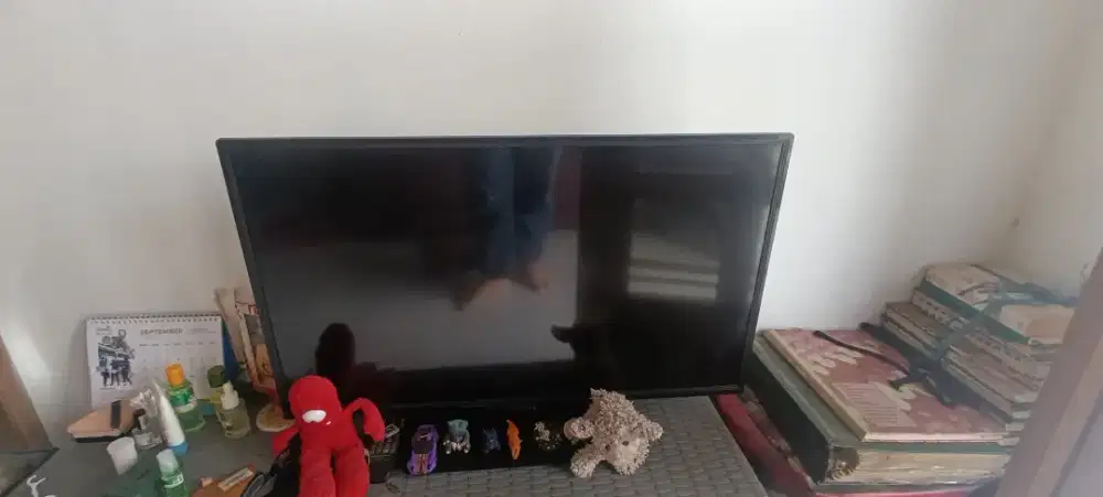tv Philips 32 inch