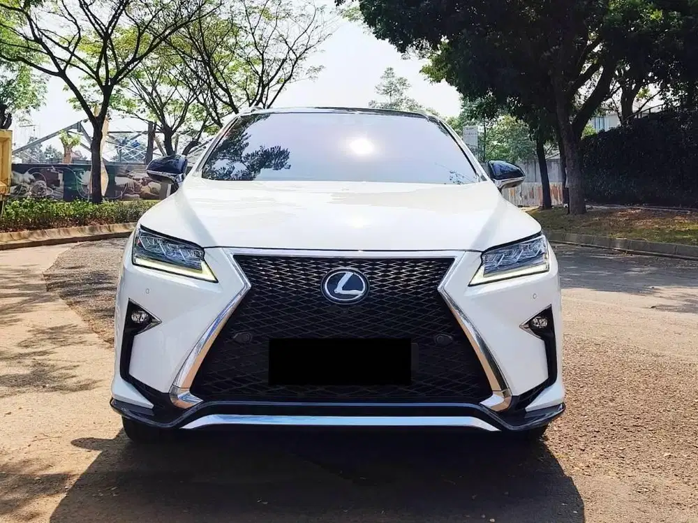 LEXUS RX300 SPORT 2019 Low Kilometer