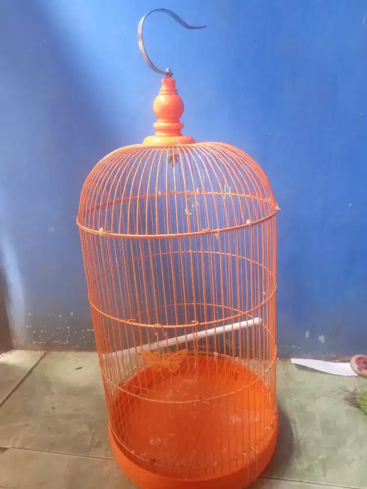 KANDANG BURUNG LOVEBIRD