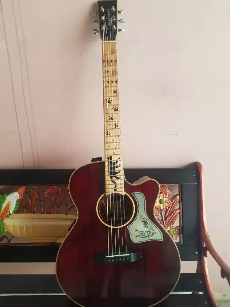 Gitar tanglewood  winterleaf TW4 BLB