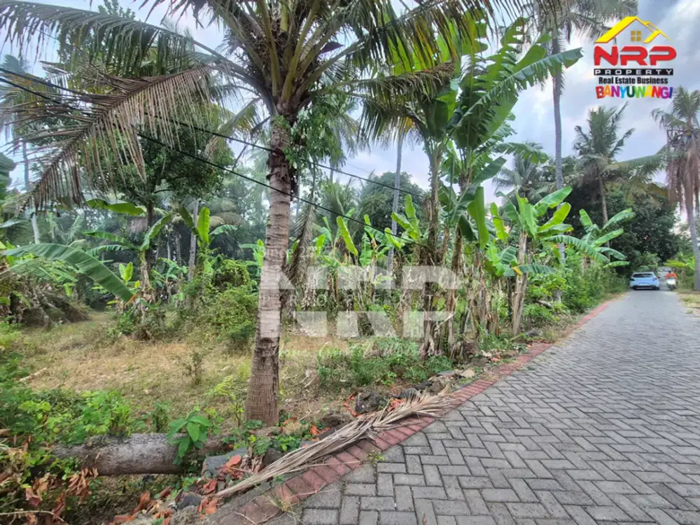 Dijual tanah jarang ada tepi pantai di Banyuwangi