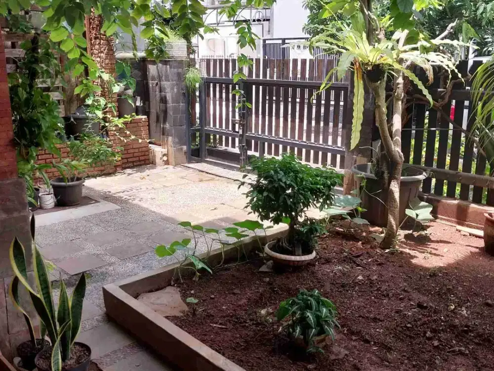 rumah 11x17 janur elok