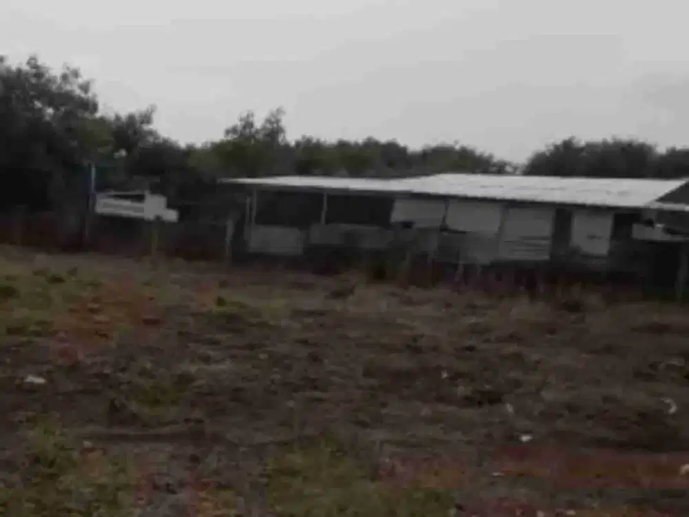 Kavling 5000m di Babelan bekasi.