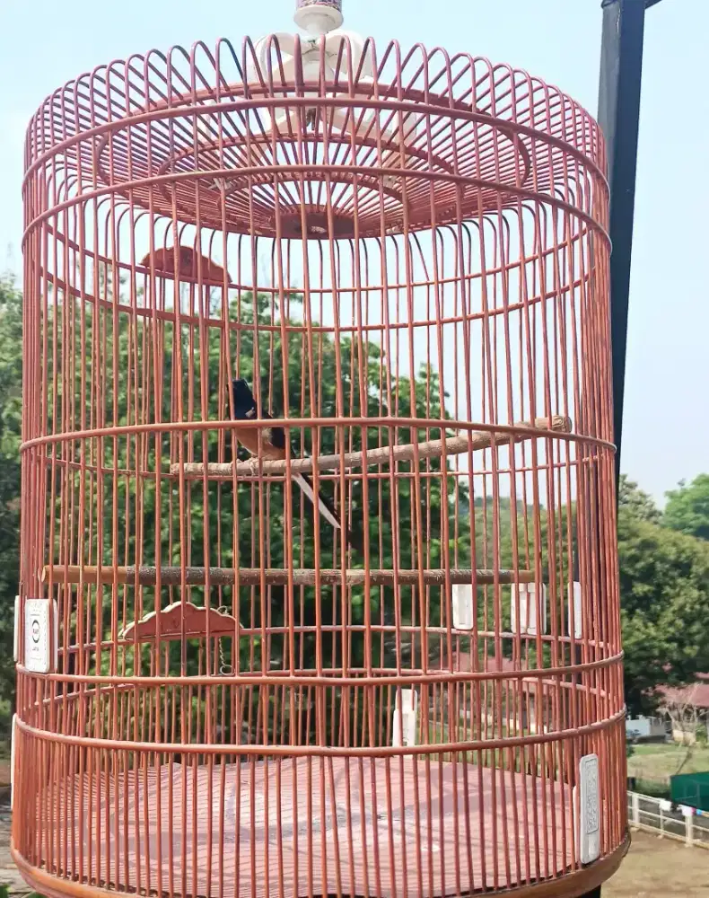 For Sale Murai Batu