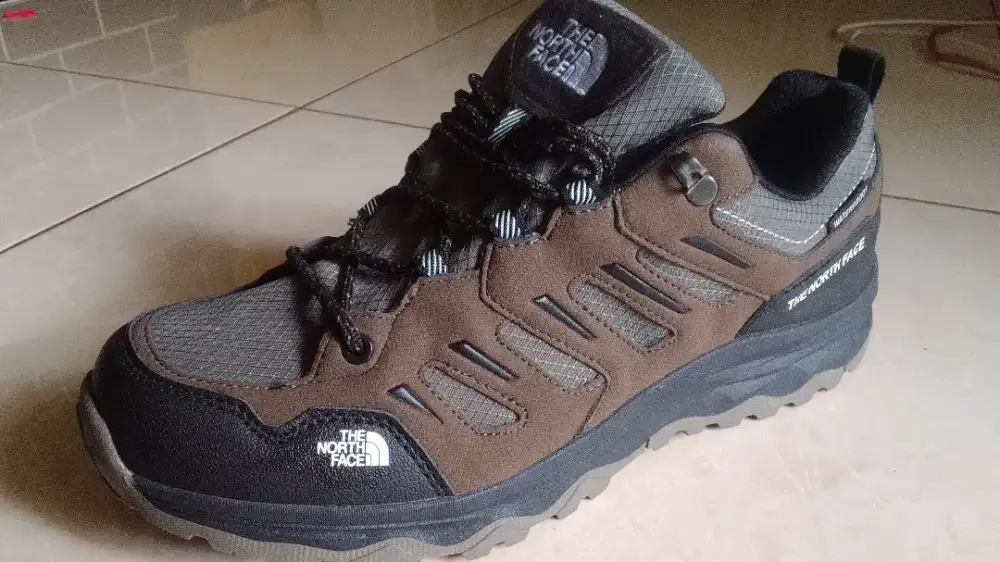 Sepatu thenorthface