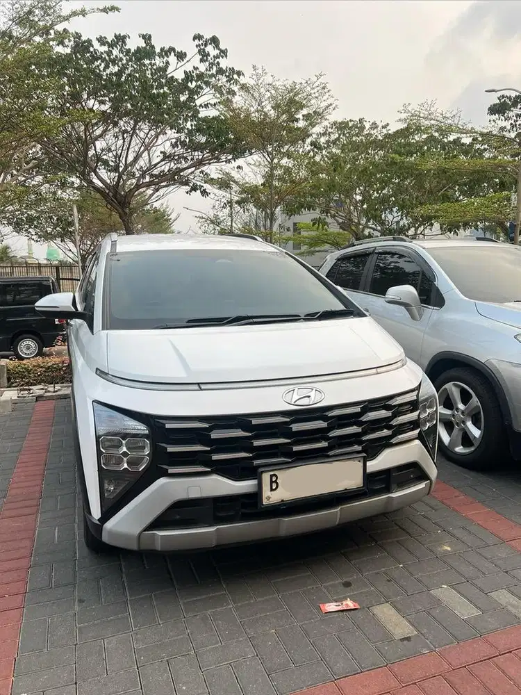 STARGAZER X PRIME 2023