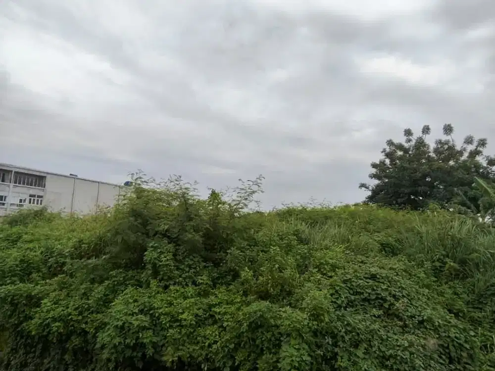 Tanah Hook Sangat Luas di Kawasan Pergudangan Aeropolis Neglasari Tangerang
