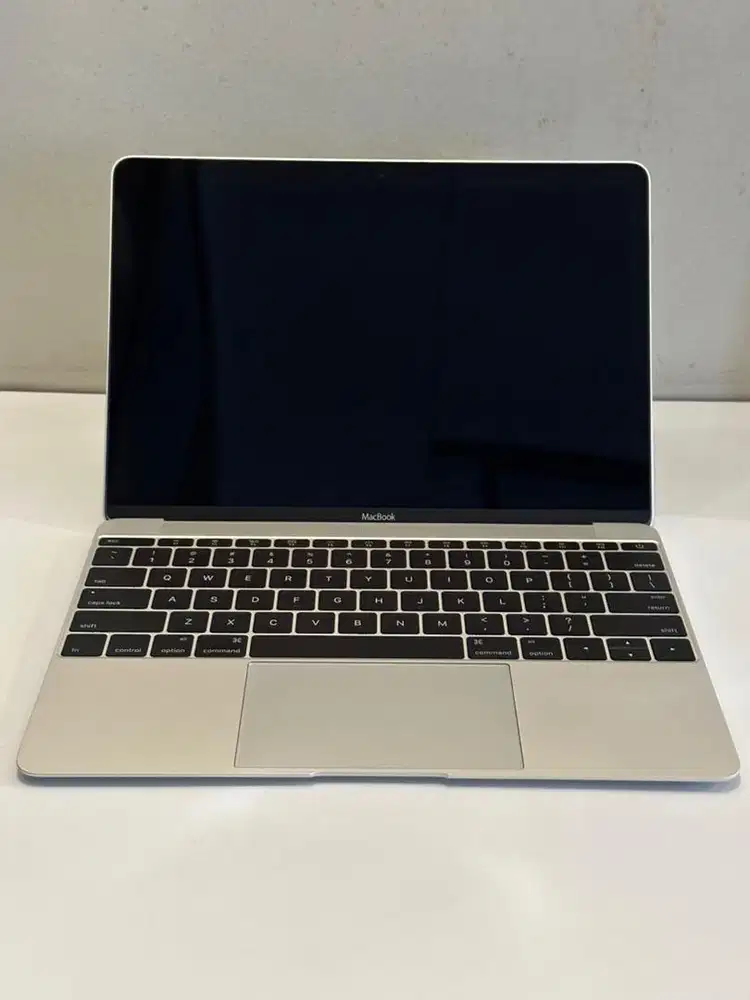 Macbook (Retina, early 2015)