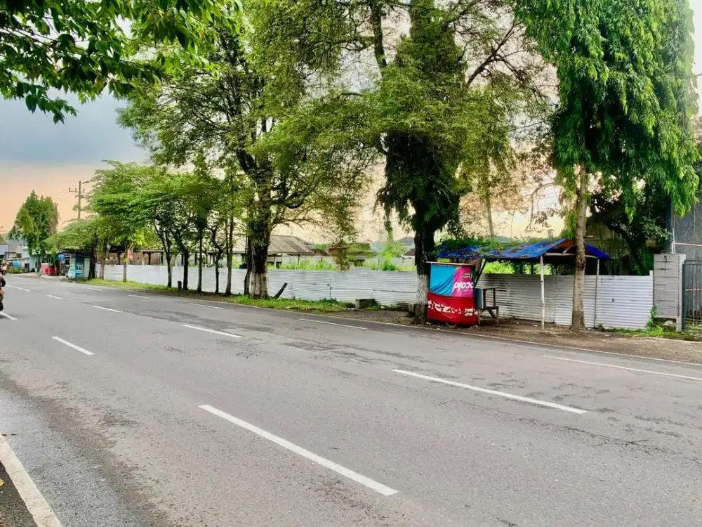 DIJUAL TANAH LUAS PINGGIR JALAN PROVINSI LOKASI DEKAT ALUN ALUN JEMBER