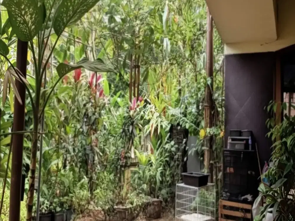 rumah asri lokasi depan taman area senayan hang jebat hang lekiu hang lekir lauser
