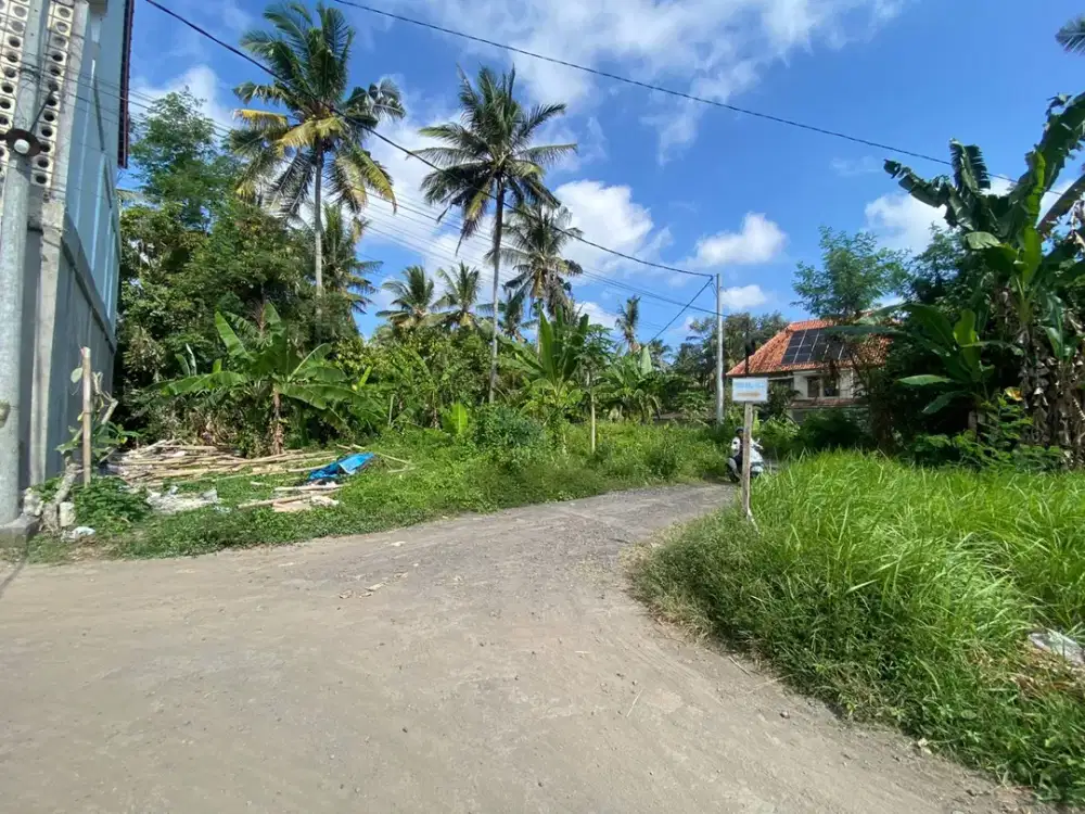 Tanah 3,4 Are Dekat Central Ubud, Lodtunduh - Gianyar