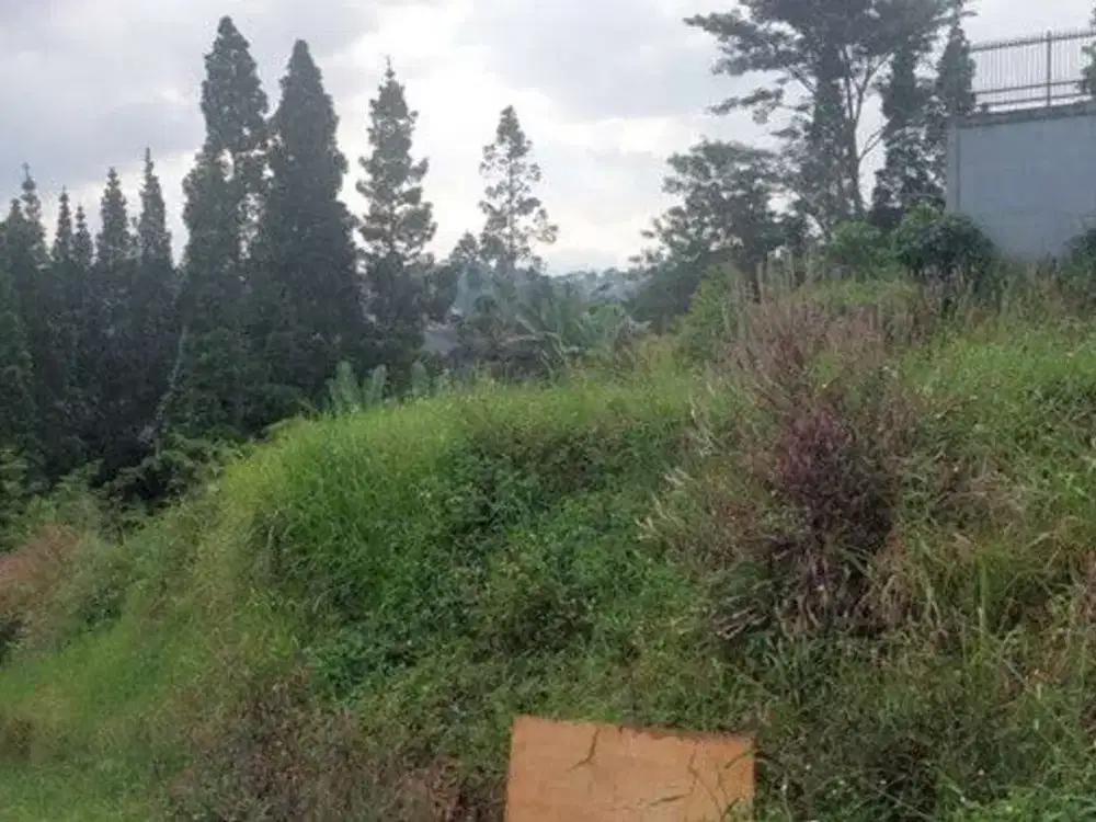 Dijual Tanah Kampung Padi Dago Bandung sudah ada izin siteplan [ID 761]