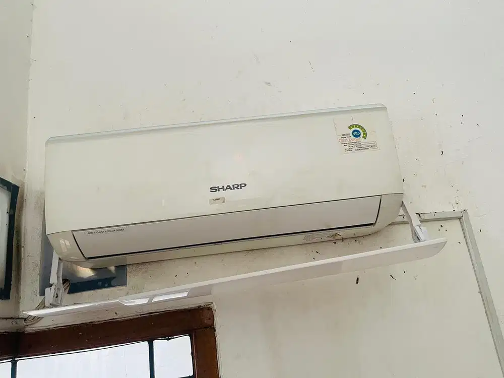 AC Sharp 1/2 PK 0.5 PK