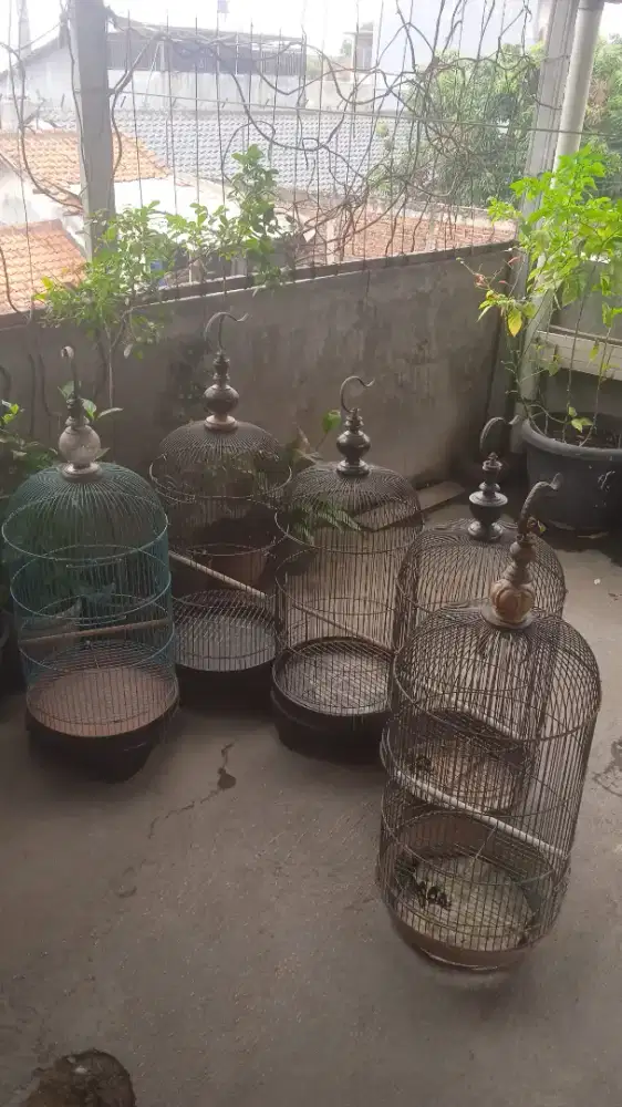 Sangkar kapsul love bird bekas
