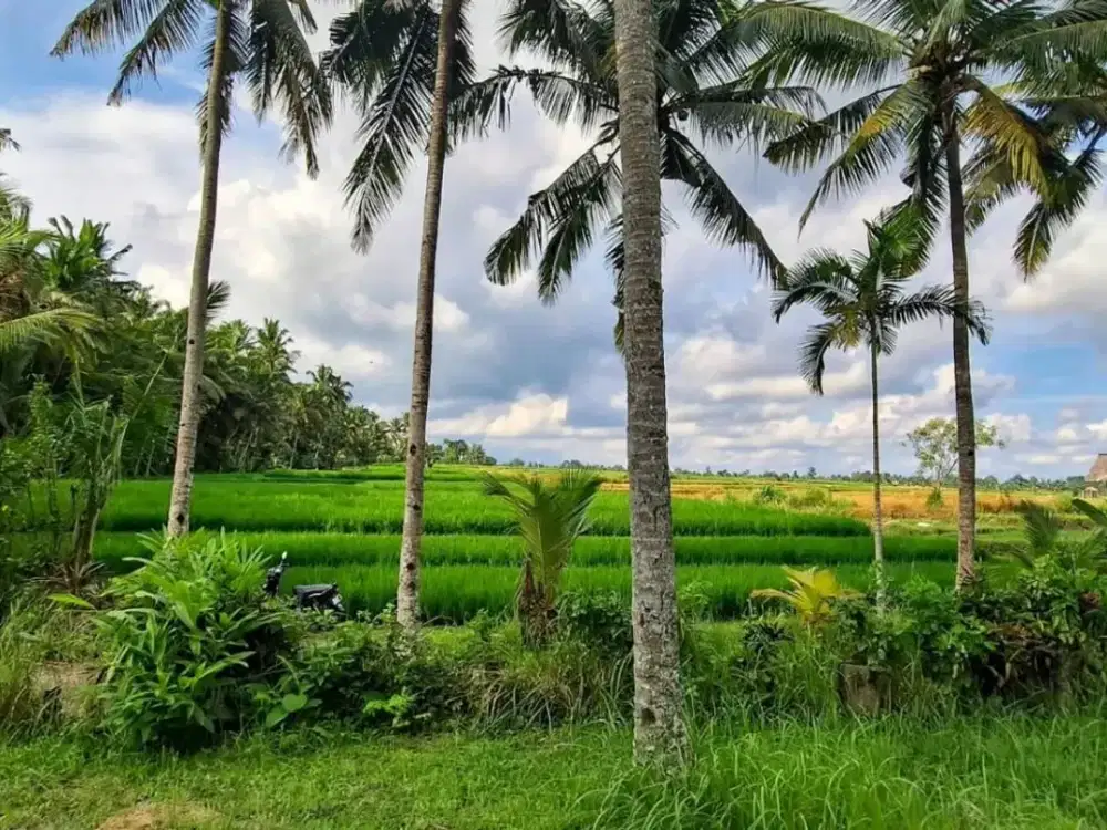 Dijual Lahan View Sawah dan Gunung Suasana Sejuk dan Asri