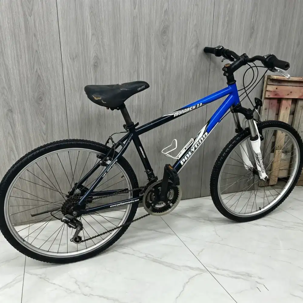 Sepeda gunung MTB polygon asli