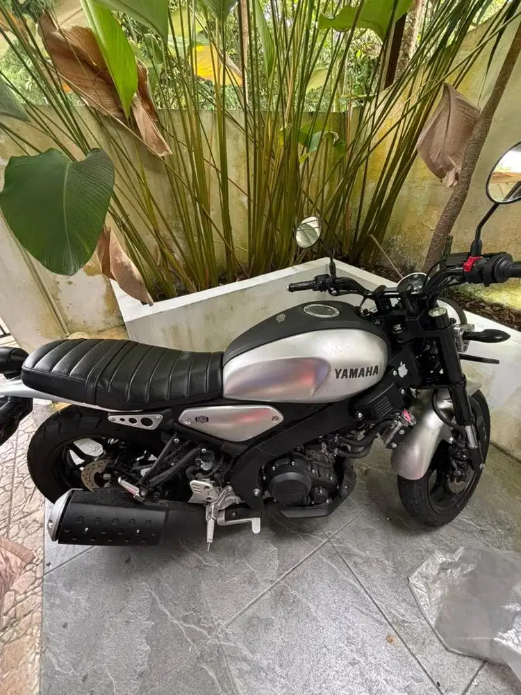 YAMAHA XSR SILVER 2025