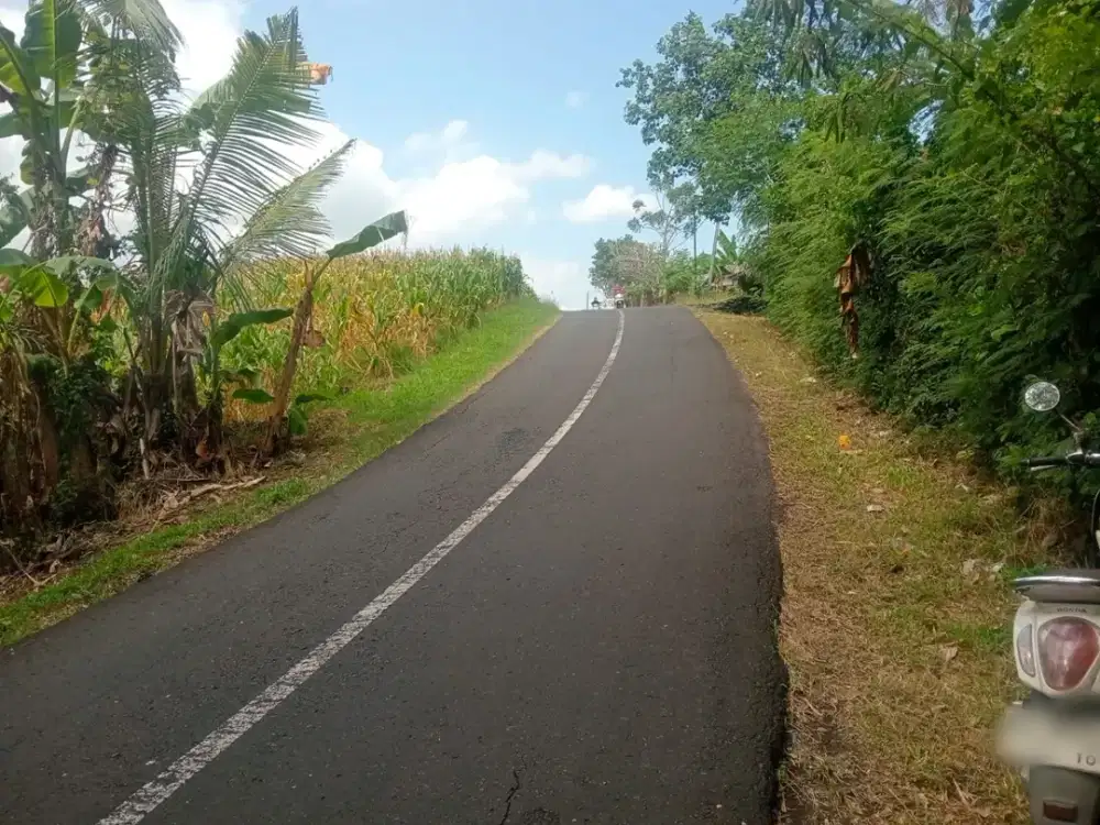 Dijual Lahan di Dekat Pantai Beraban View dengan View Sawah